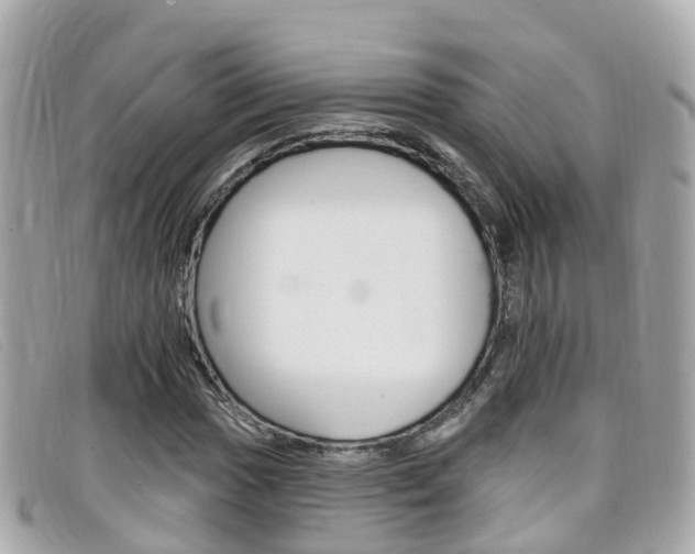 X0000099321017200805020748