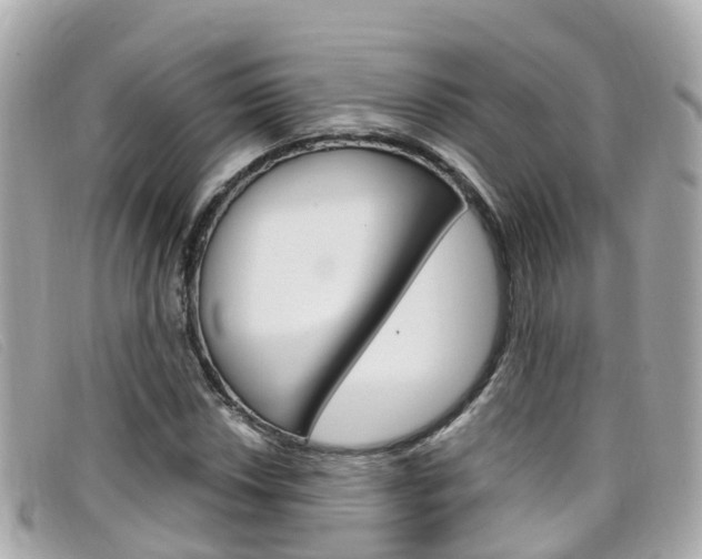X0000099321018200805020748