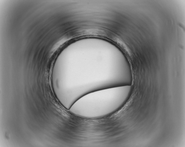 X0000099321019200805020748