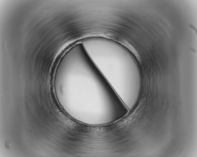 X0000099321020200805020748