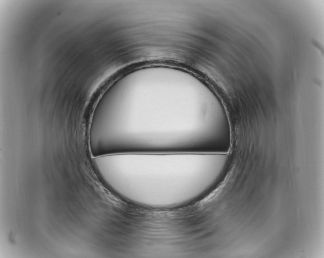 X0000099321021200805020748