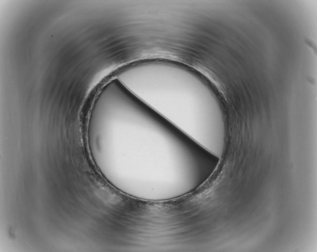 X0000099321022200805020748