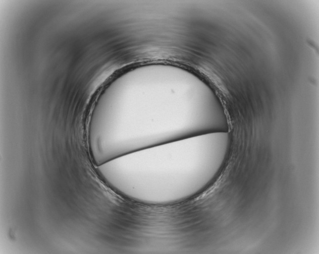 X0000099321023200805020749