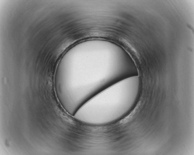 X0000099321025200805020749