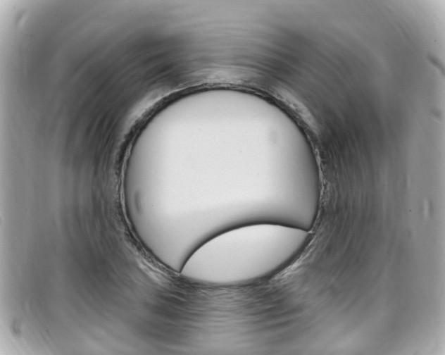 X0000099321027200805020749