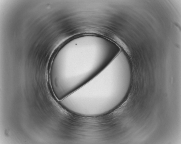 X0000099321028200805020749
