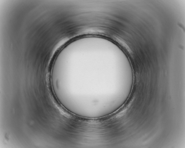 X0000099321029200805020749