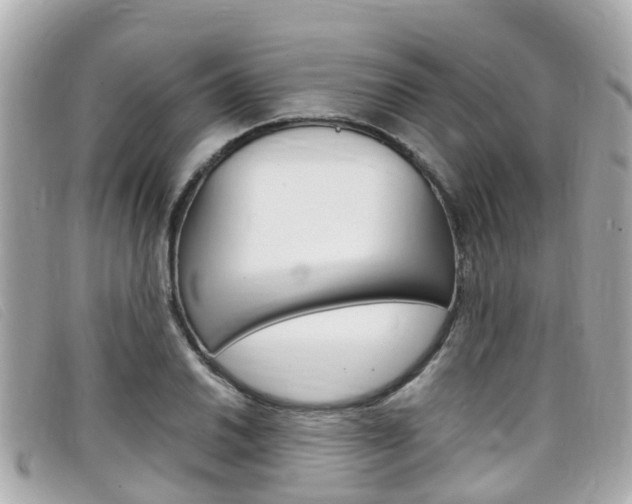 X0000099321030200805020749