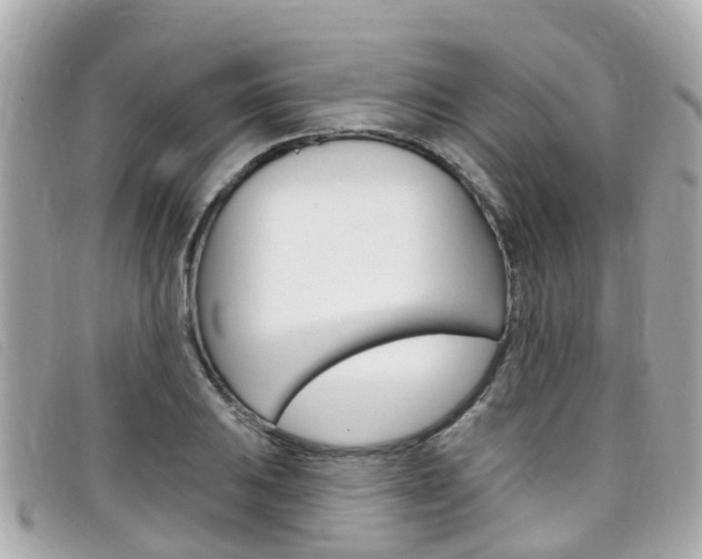 X0000099321031200805020749