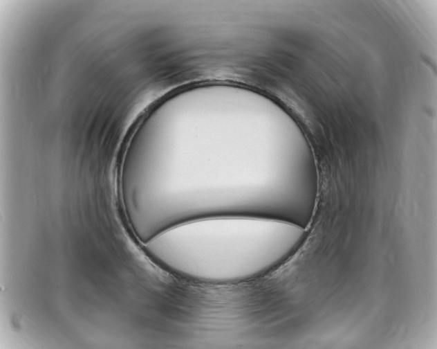 X0000099321032200805020749