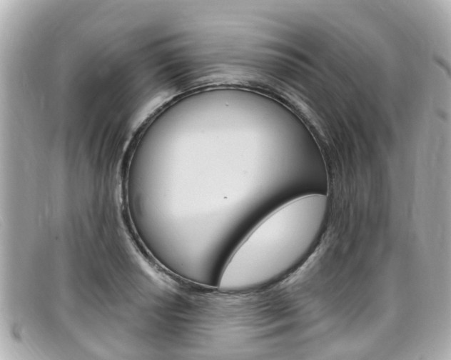 X0000099321034200805020749