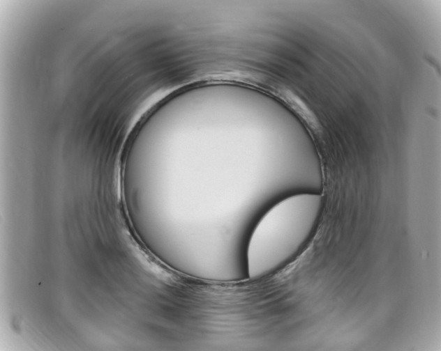 X0000099321036200805020749
