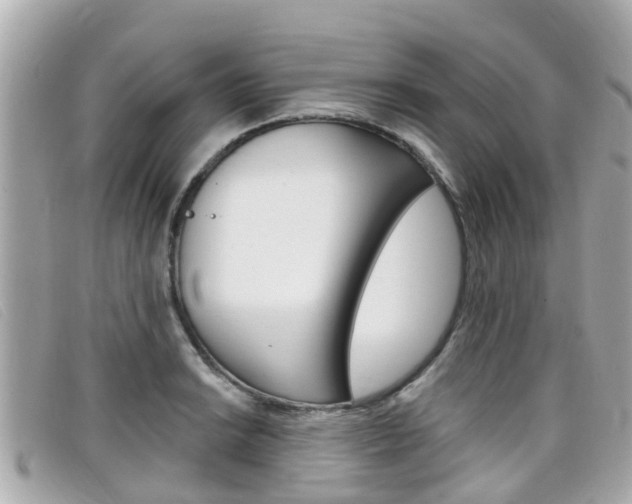 X0000099321038200805020749