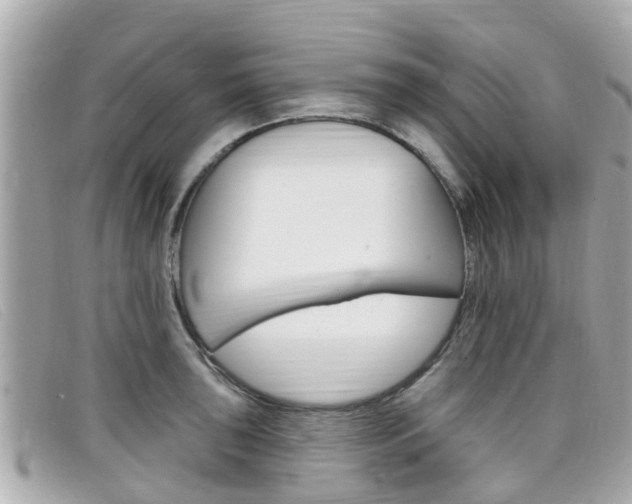 X0000099321043200805020749