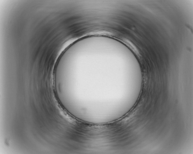 X0000099321044200805020749
