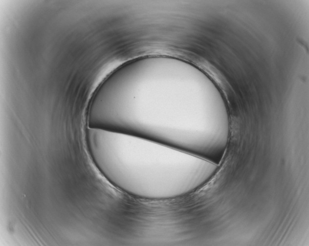 X0000099321048200805020749