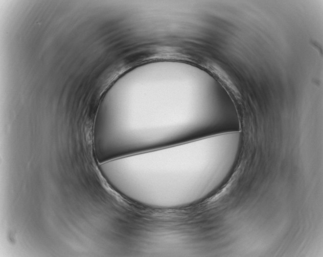 X0000099321049200805020749
