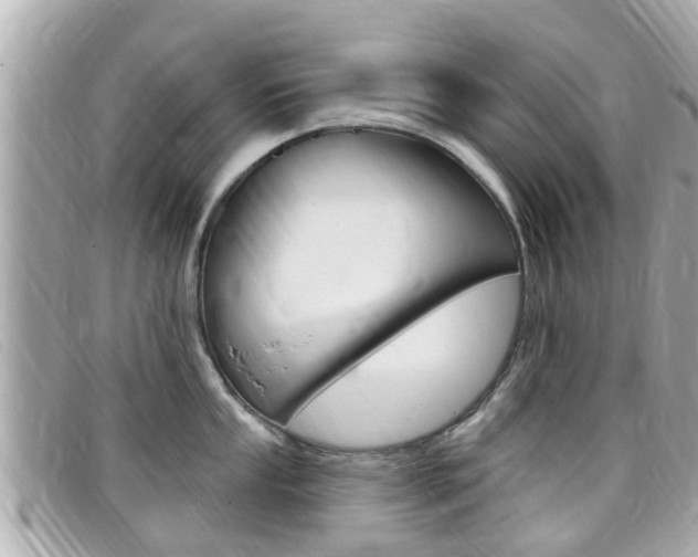 X0000099321053200805020749