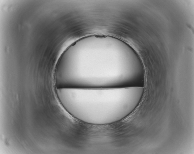 X0000099321056200805020749