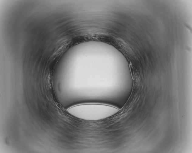 X0000099321060200805020748