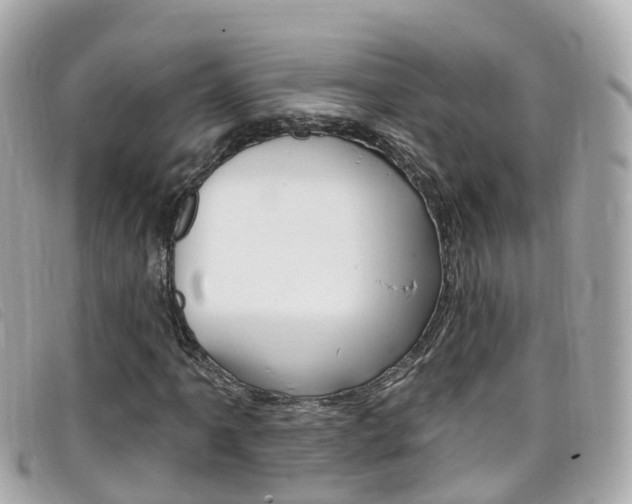 X0000099321061200805020748