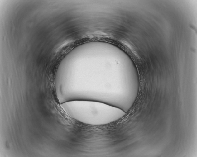 X0000099321063200805020748
