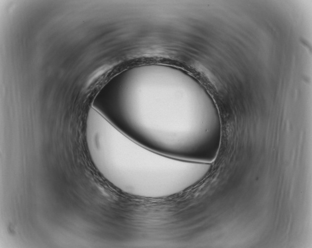 X0000099321064200805020748