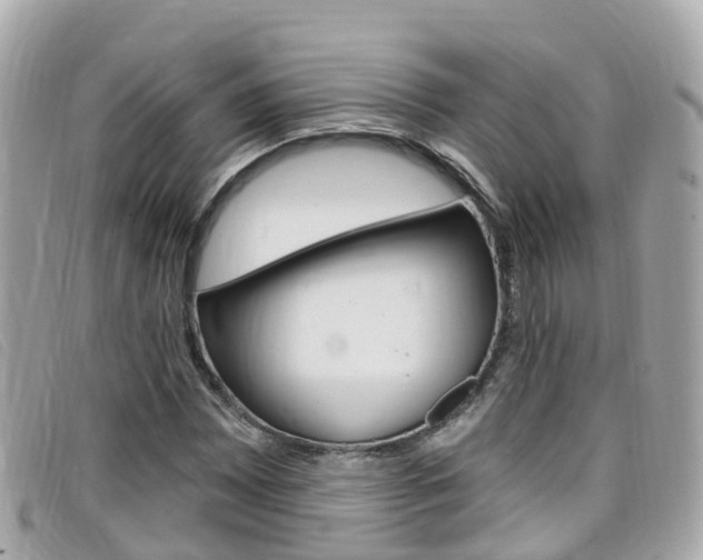 X0000099321065200805020748