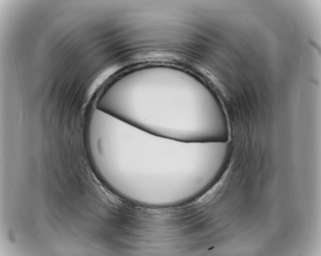 X0000099321066200805020748