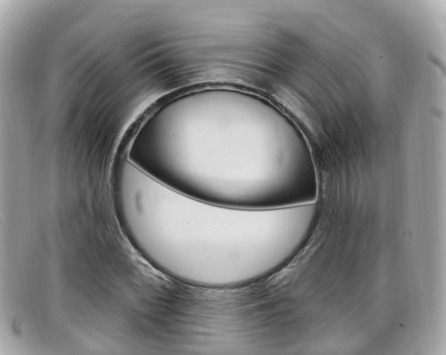 X0000099321068200805020748