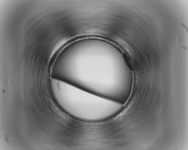 X0000099321069200805020748