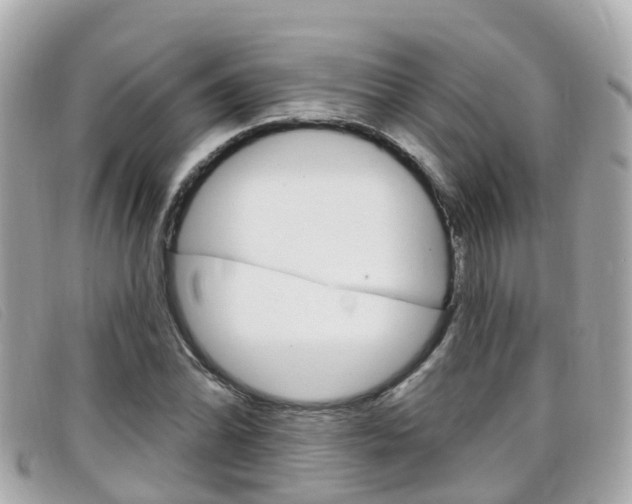 X0000099321070200805020748