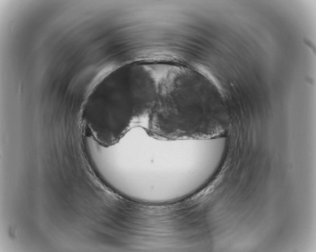 X0000099321071200805020748