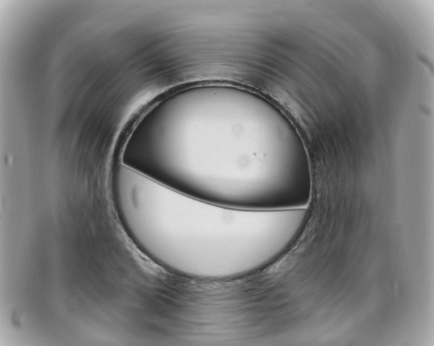 X0000099321072200805020748