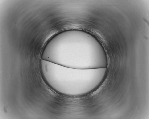 X0000099321073200805020748