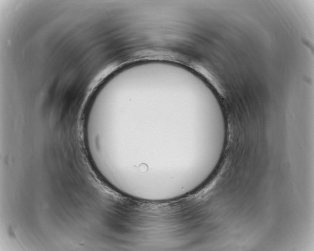 X0000099321074200805020748