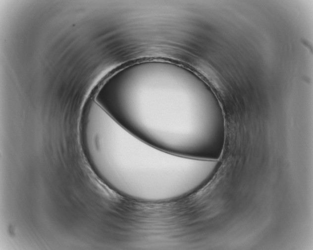 X0000099321076200805020748