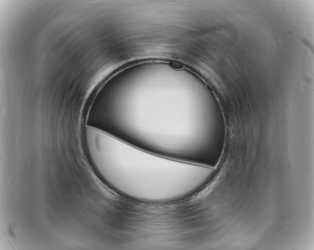 X0000099321077200805020748