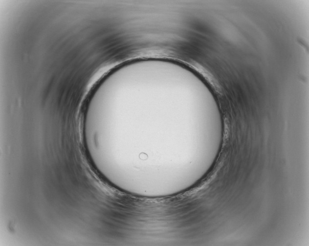 X0000099321078200805020748