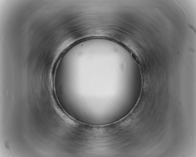 X0000099321080200805020748