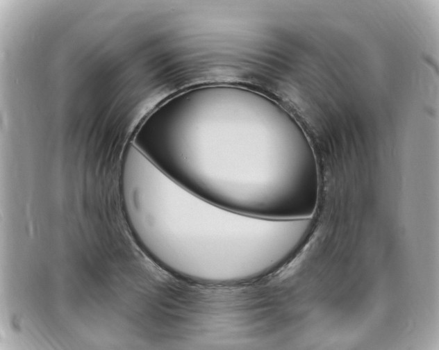 X0000099321081200805020748