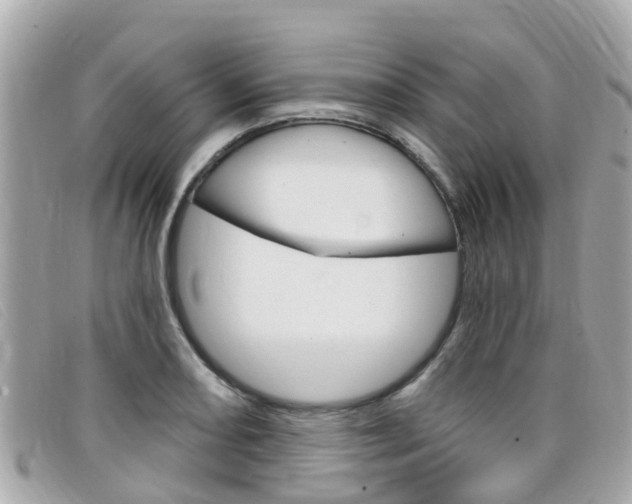 X0000099321082200805020748
