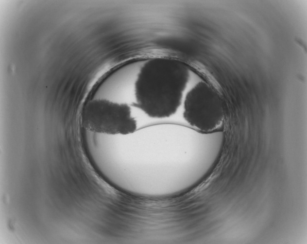 X0000099321083200805020748