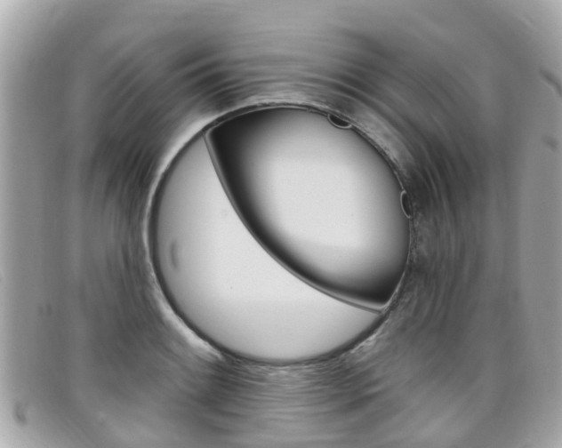 X0000099321084200805020748