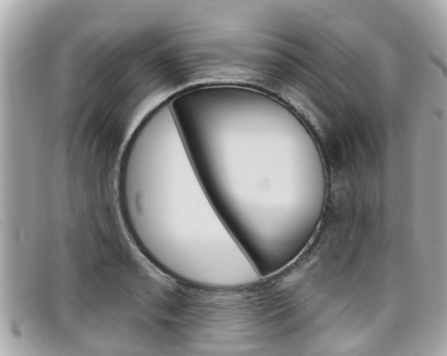 X0000099321085200805020748