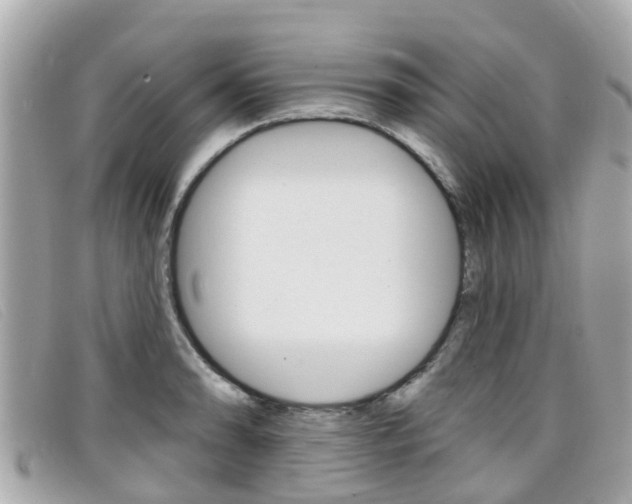 X0000099321086200805020748