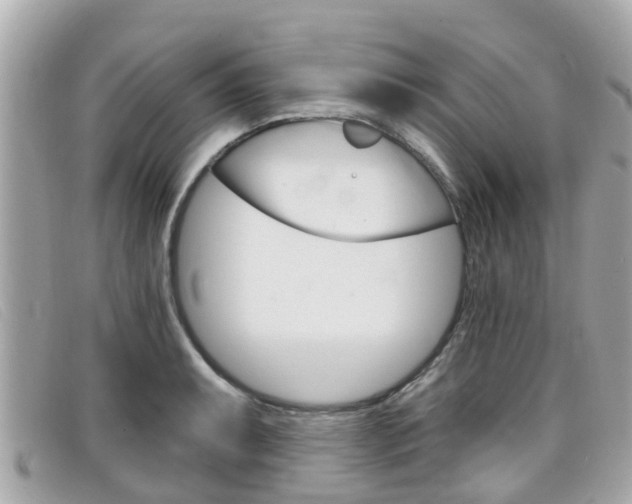 X0000099321087200805020748