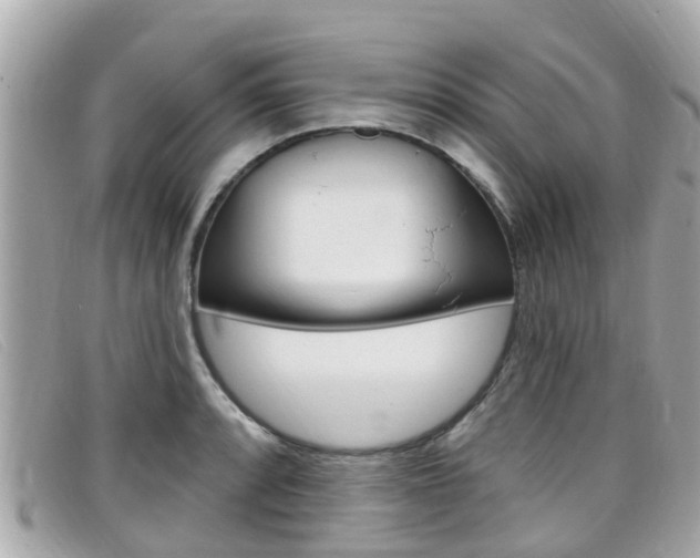 X0000099321088200805020748