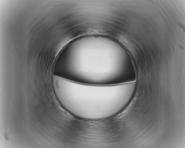X0000099321089200805020748