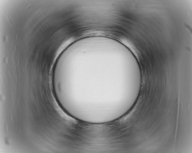 X0000099321090200805020748